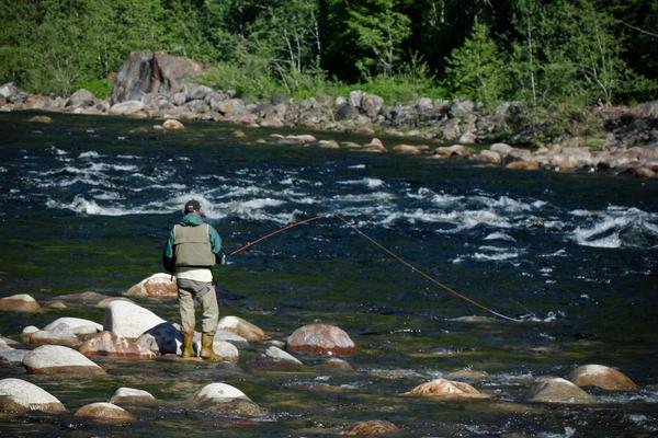 Salmon fishing in the Gaula river