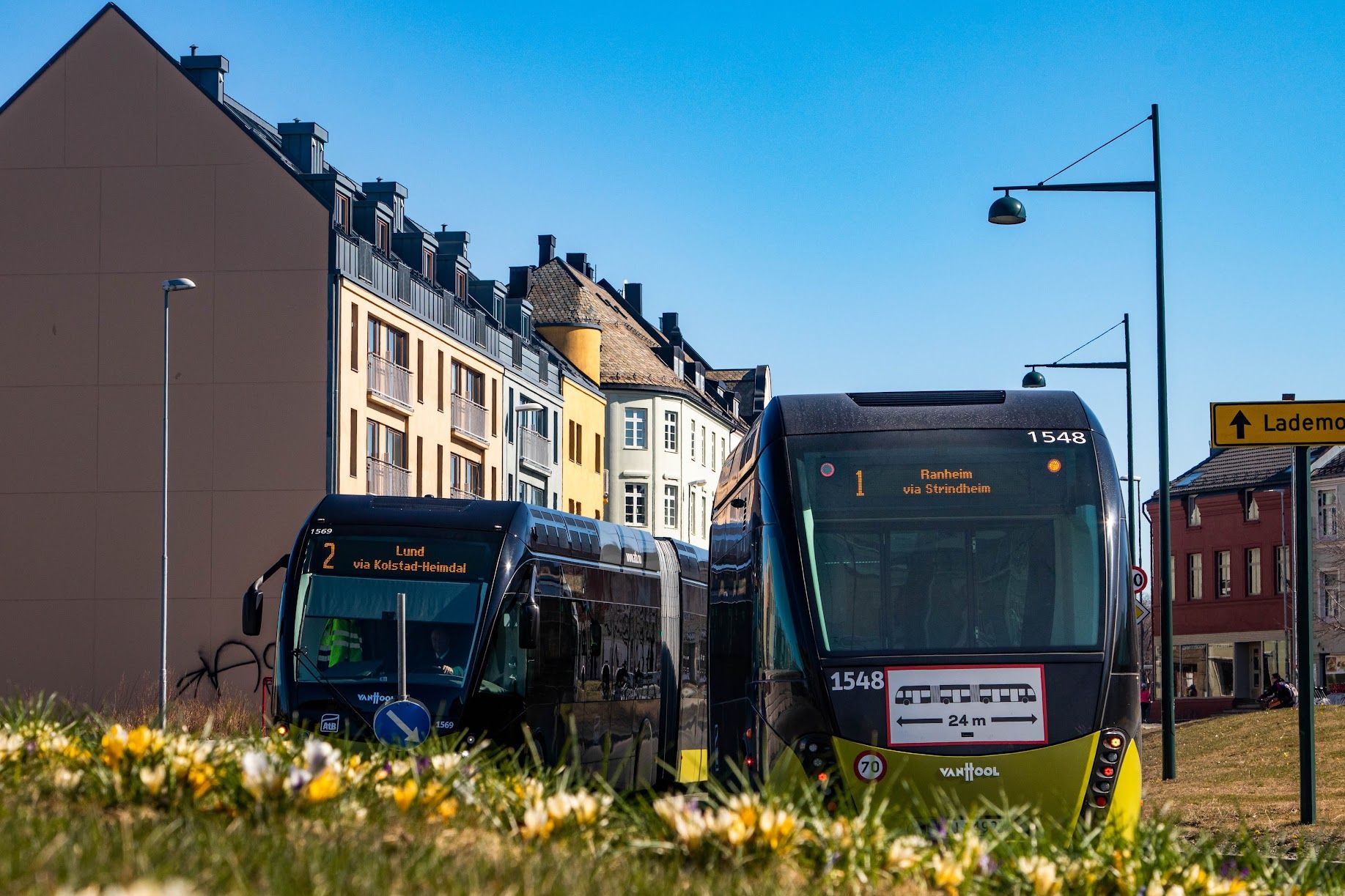 Two modern city buses in Trondheim, Norway, driving through a street lined with colorful buildings on a sunny spring day.