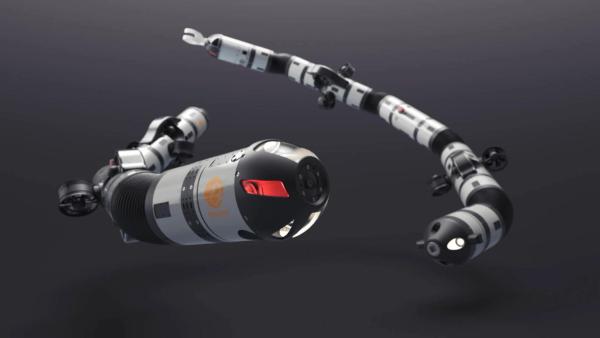 A full view of two eel-shaped robots, on a black background. The robots are white with black joints. Theres a tiny piece of red on its head