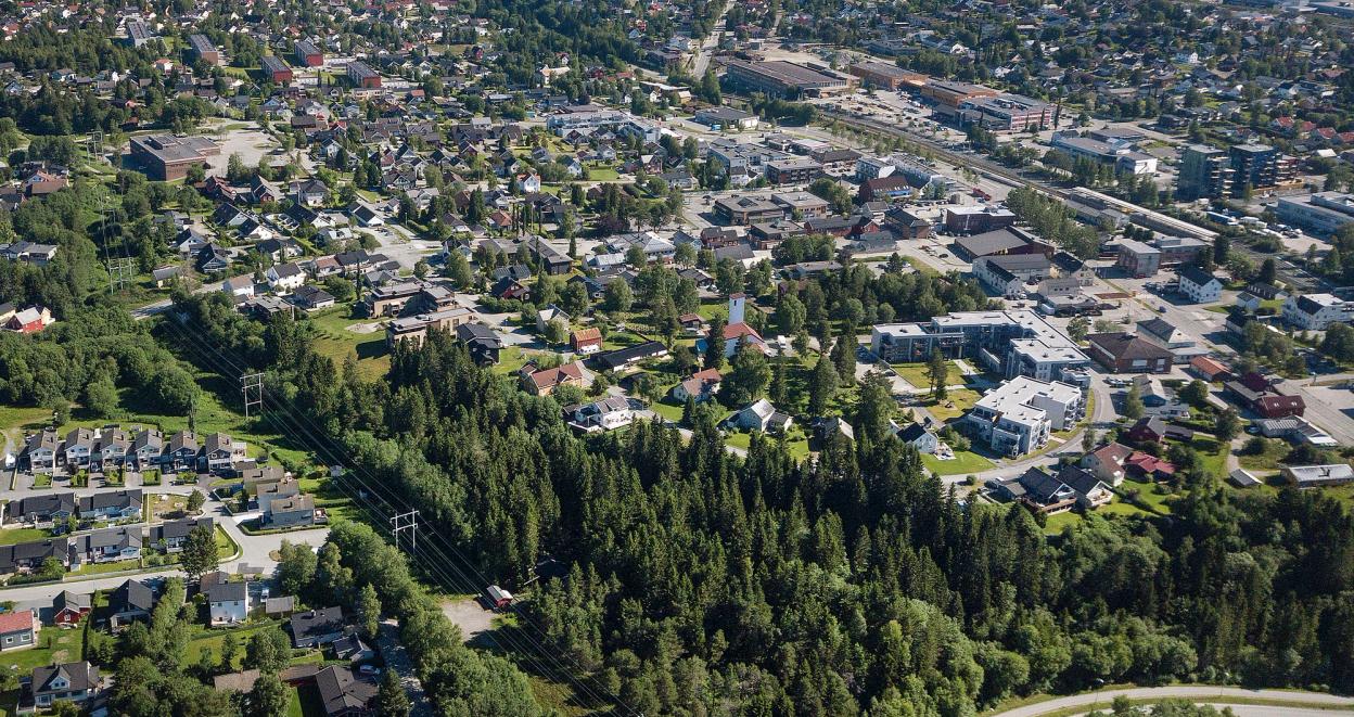 A neighbourhood seen from above. There is forest and greenery mixed well in with the houses.