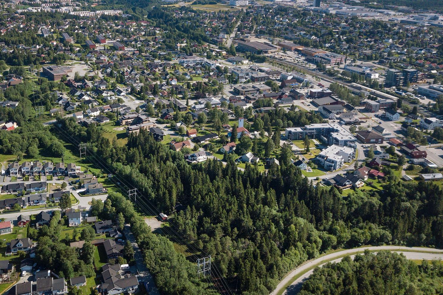 A neighbourhood seen from above. There is forest and greenery mixed well in with the houses.