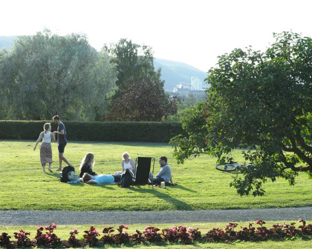 5 students enjoying themselves in a park right outside of NTNU's main building. The grass in green and the trees are luscious. Some of the students are laying in the grass and two of the students are dancing.