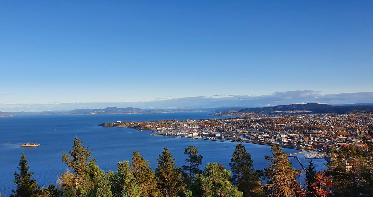 View of Trondheim from the forest