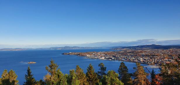 A breathtaking view of Trondheim, Norway, from a high vantage point, overlooking the city, Trondheimsfjord, and surrounding mountains. In the foreground, evergreen trees partially frame the scene. The cityscape stretches along the coastline, with a harbor, buildings, and infrastructure visible. A small island is seen in the fjord, with distant mountain ranges under a clear blue sky. The autumn-colored foliage adds warmth to the landscape, indicating the season.