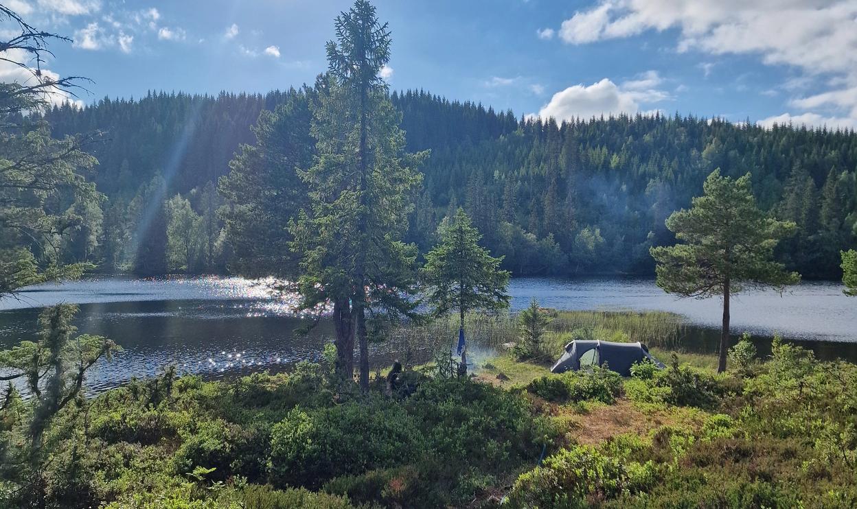Tent on idyllic forest and lake surroindings.