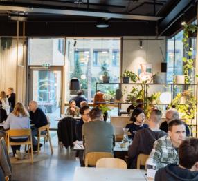 A modern, vibrant café filled with people enjoying food and conversation. Large windows and indoor plants create a cozy atmosphere.