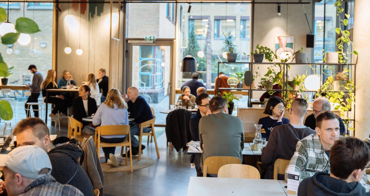 A modern, vibrant café filled with people enjoying food and conversation. Large windows and indoor plants create a cozy atmosphere.