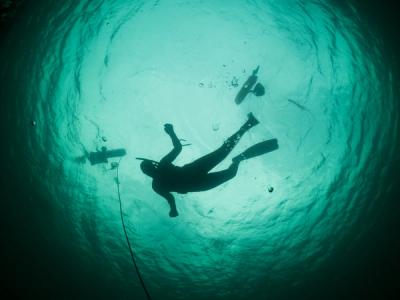 An underwater shot of a diver swimming, with bubbles rising from their equipment. The diver is silhouetted against the turquoise water, with two other divers visible in the background.