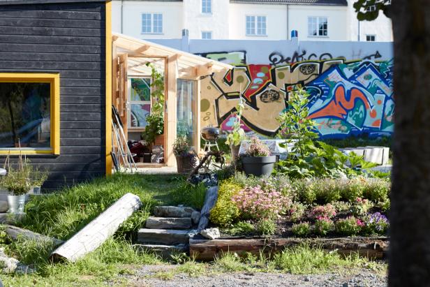 a small, cozy wooden structure, possibly a garden room or greenhouse, with plants visible inside and outside. In the foreground, a lovely garden is neatly arranged with a variety of flowers, creating a welcoming atmosphere. The greenery contrasts nicely with the large, colorful graffiti mural on the wall behind, which adds a modern, urban touch to the scene. The sunlight suggests that the day is clear and bright, contributing to the peaceful vibe of the space.