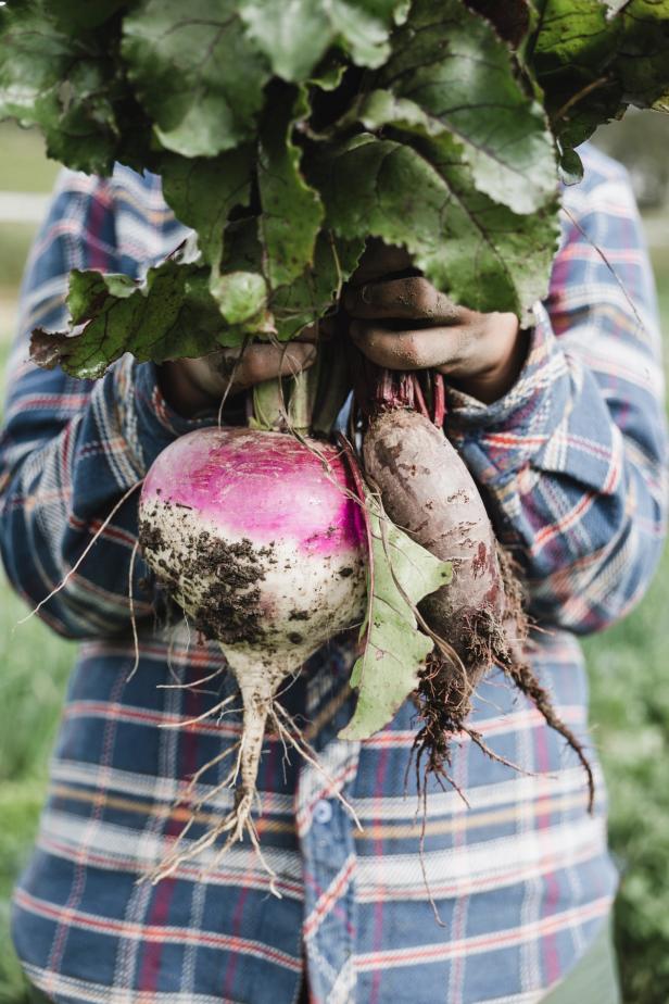 A woman showing off her beautiful big root-vegetables. She is wearing a plaid shirt