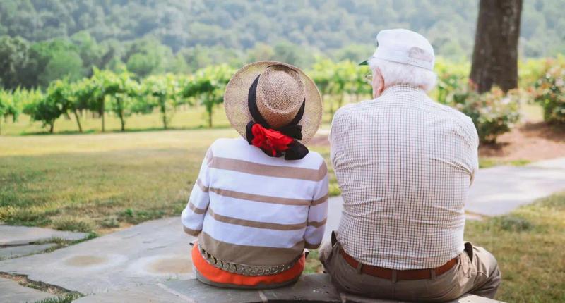 Estate Planning 101: The Basics