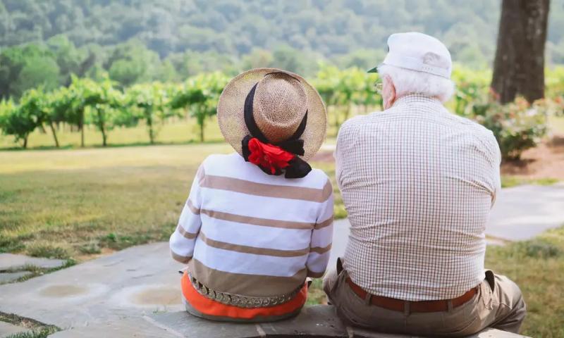 Estate Planning 101: The Basics