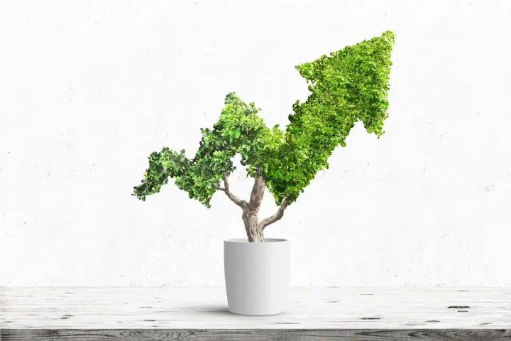 The Comparative Tax Advantages of Growth Stocks and Dividend Stocks