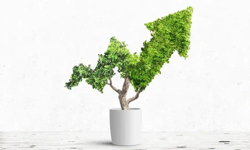 The Comparative Tax Advantages of Growth Stocks and Dividend Stocks