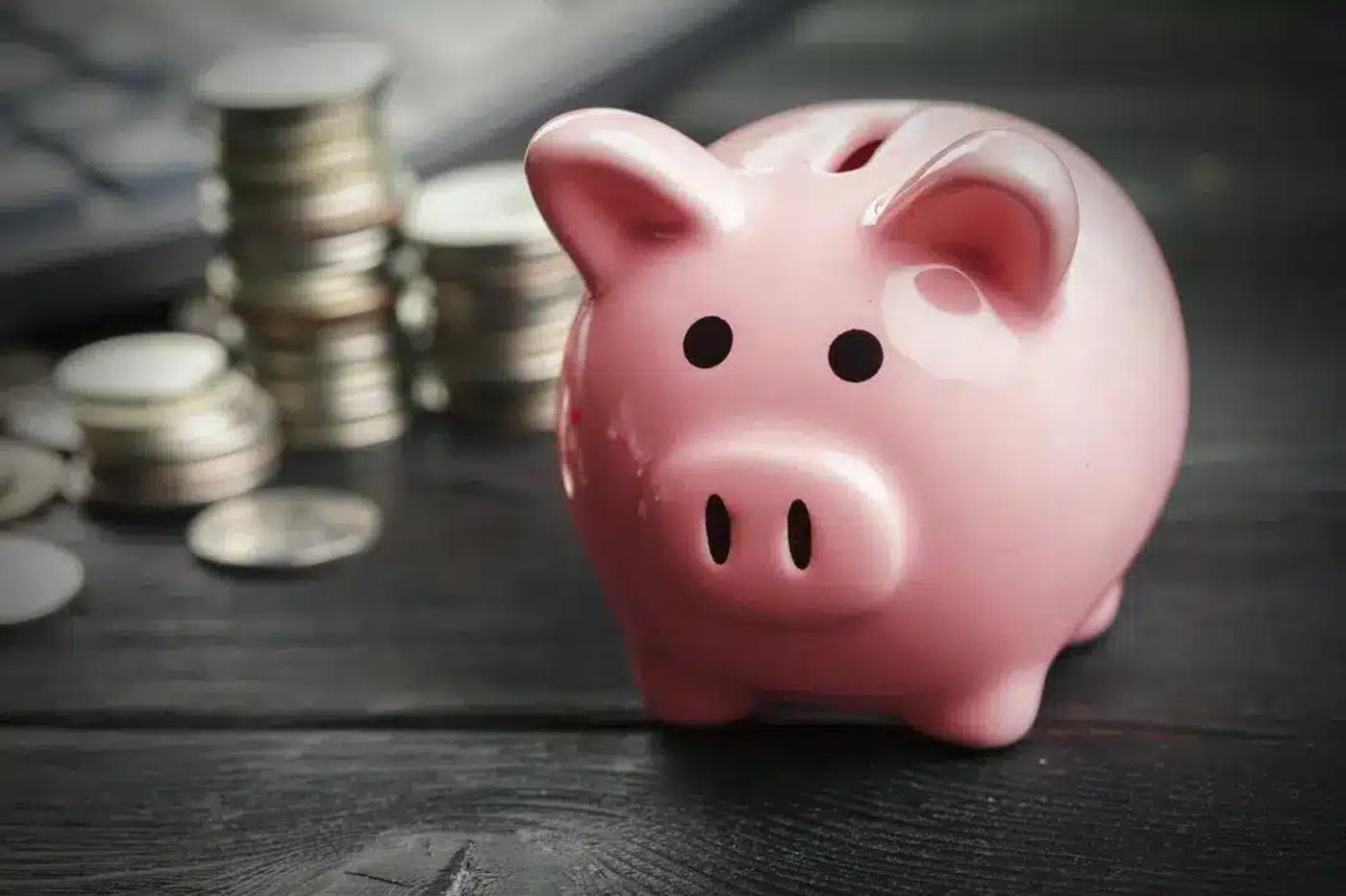 Should You Use Your Employer Sponsored Retirement Savings Plan?