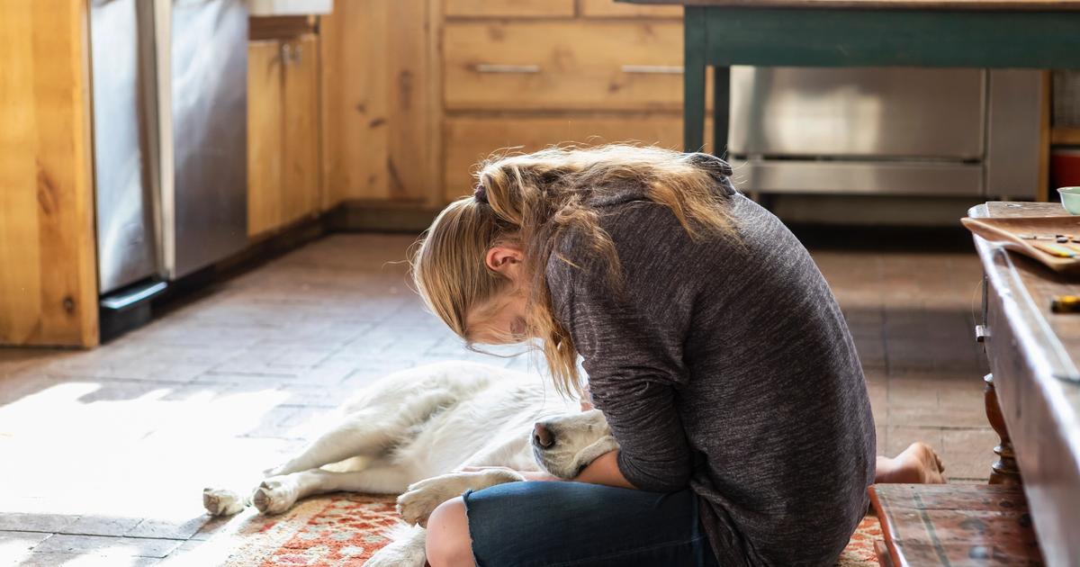 Making the Heartbreaking Decision to Euthanize a Pet: A Guide to