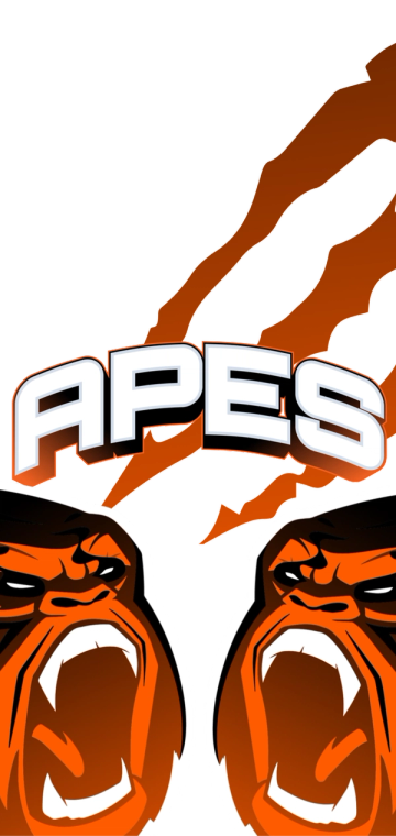 Apes screaming