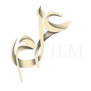 The ILM Group