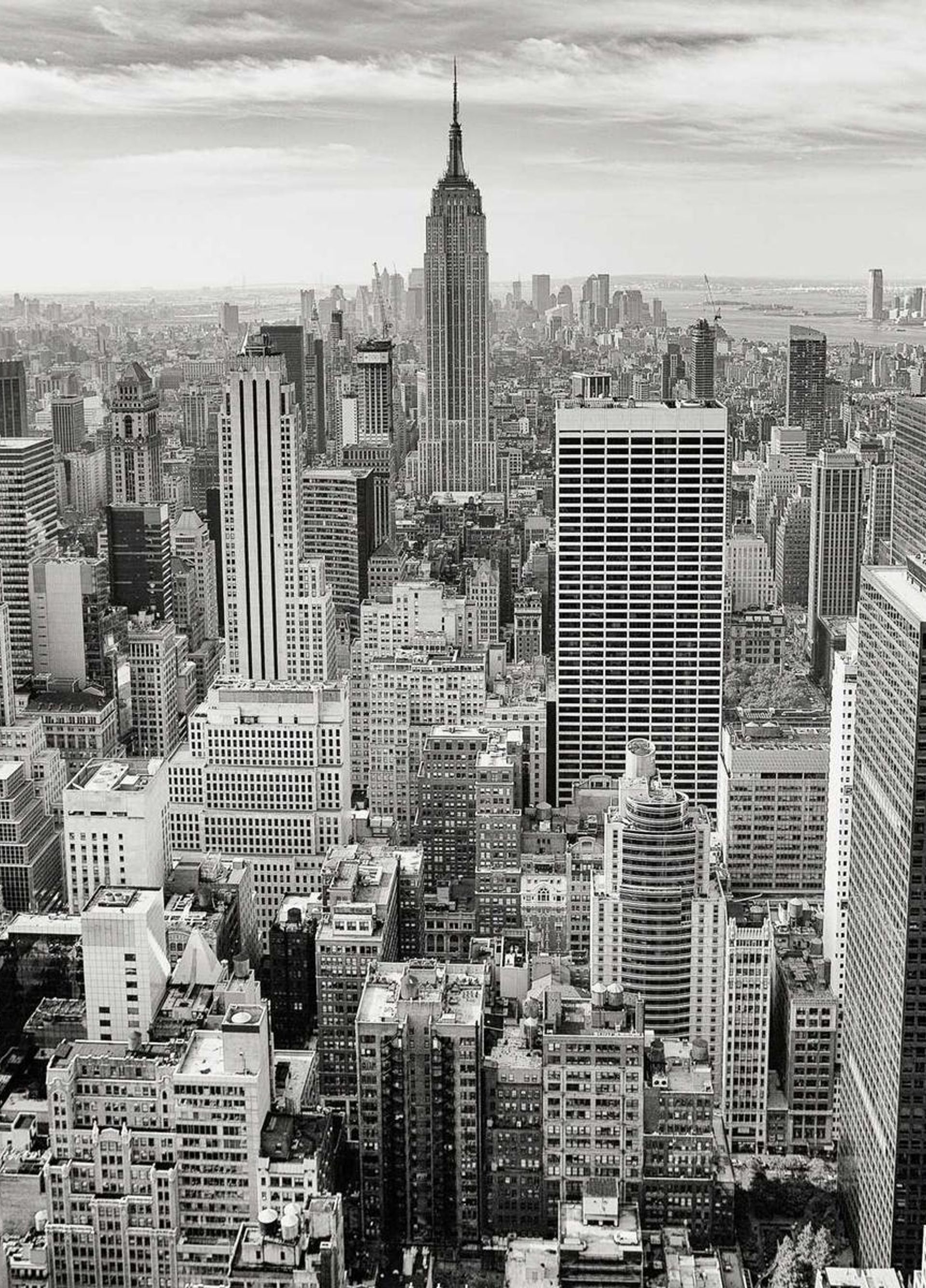 Suburban pharmacy storefront and transit stop