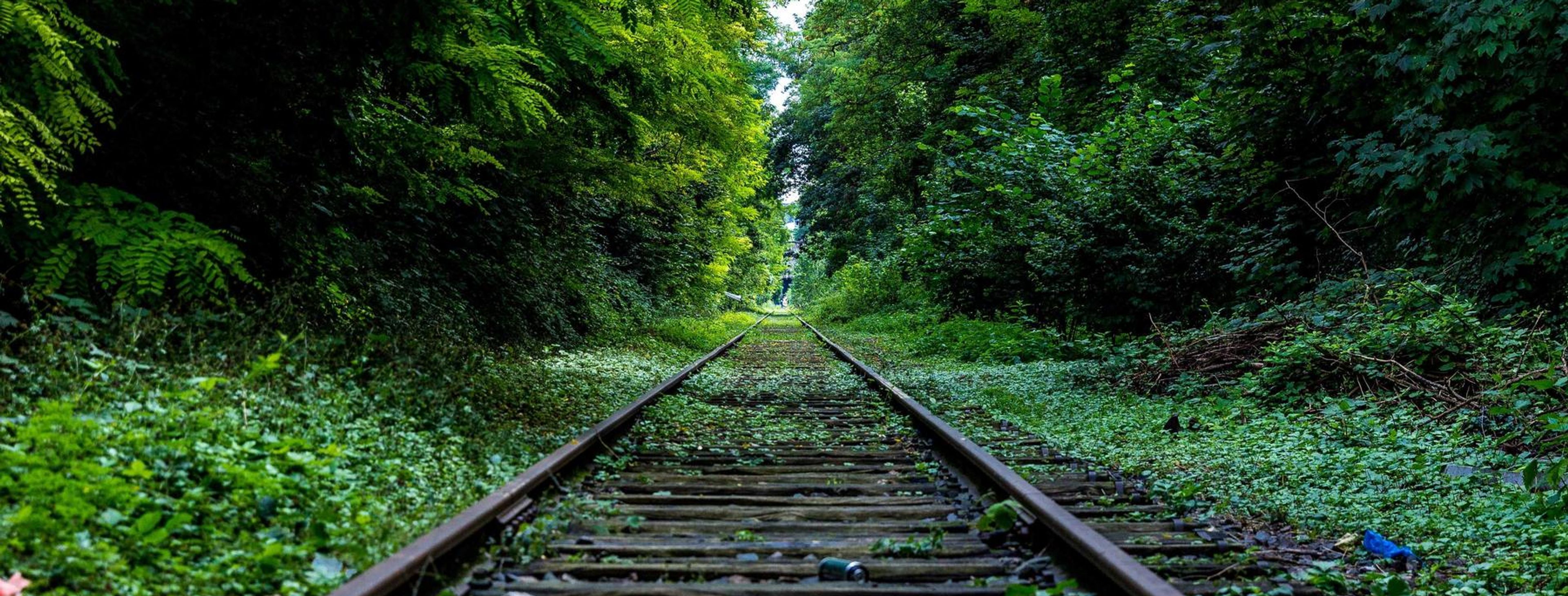 Independent newsroom team in a small office