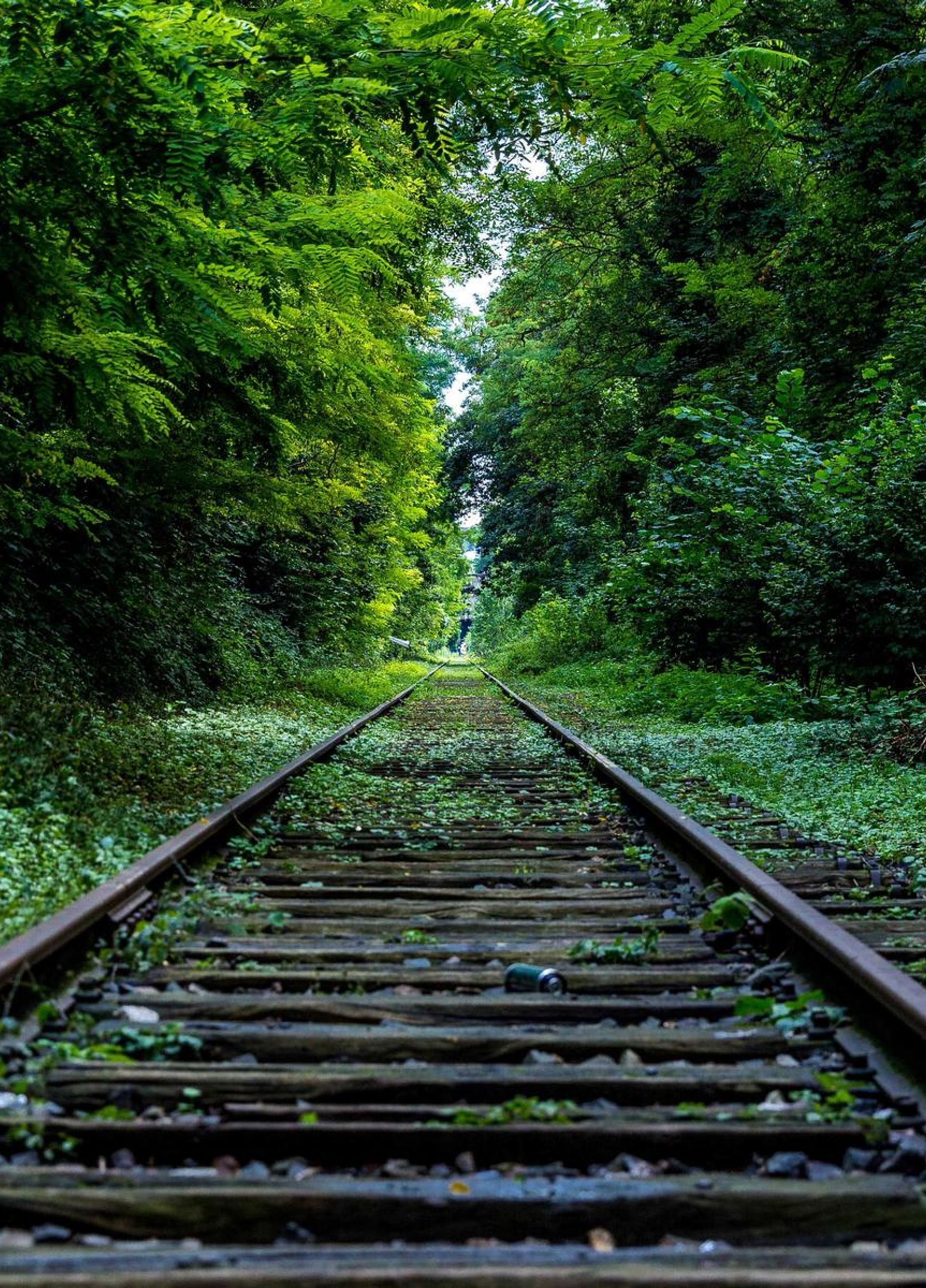 Independent newsroom team in a small office