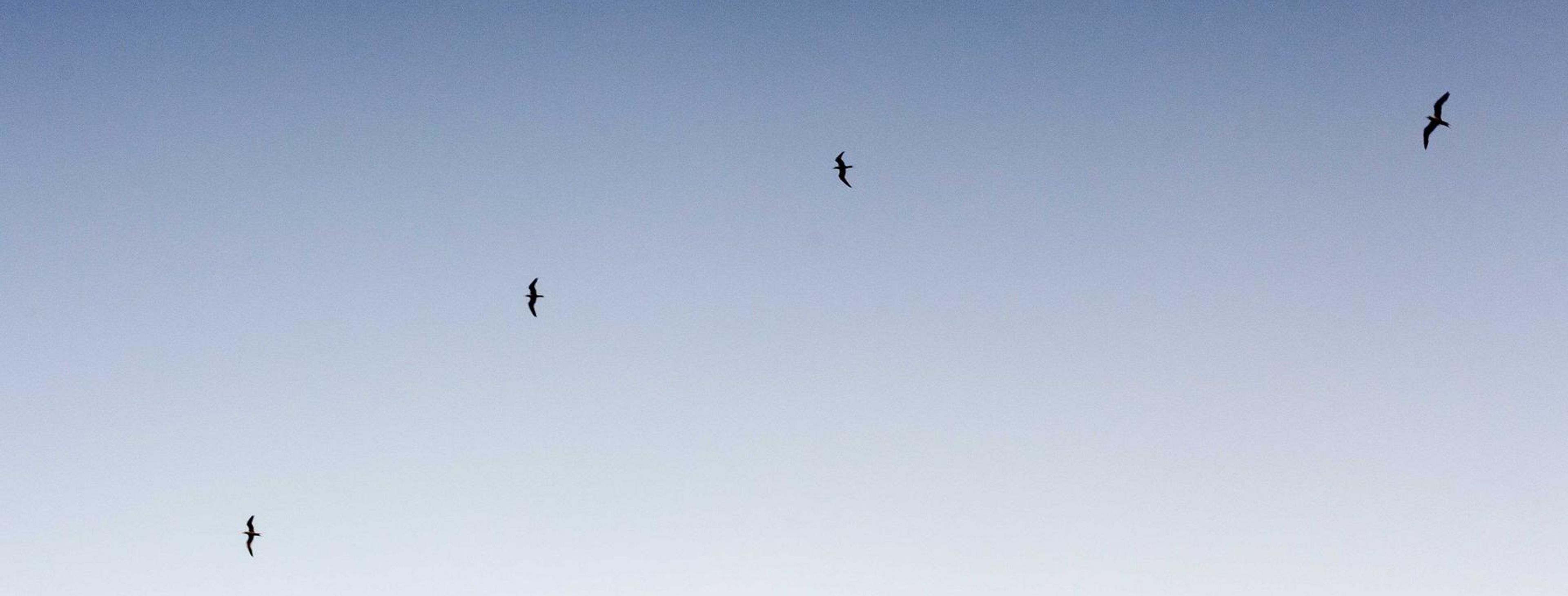 City council chamber during a public hearing