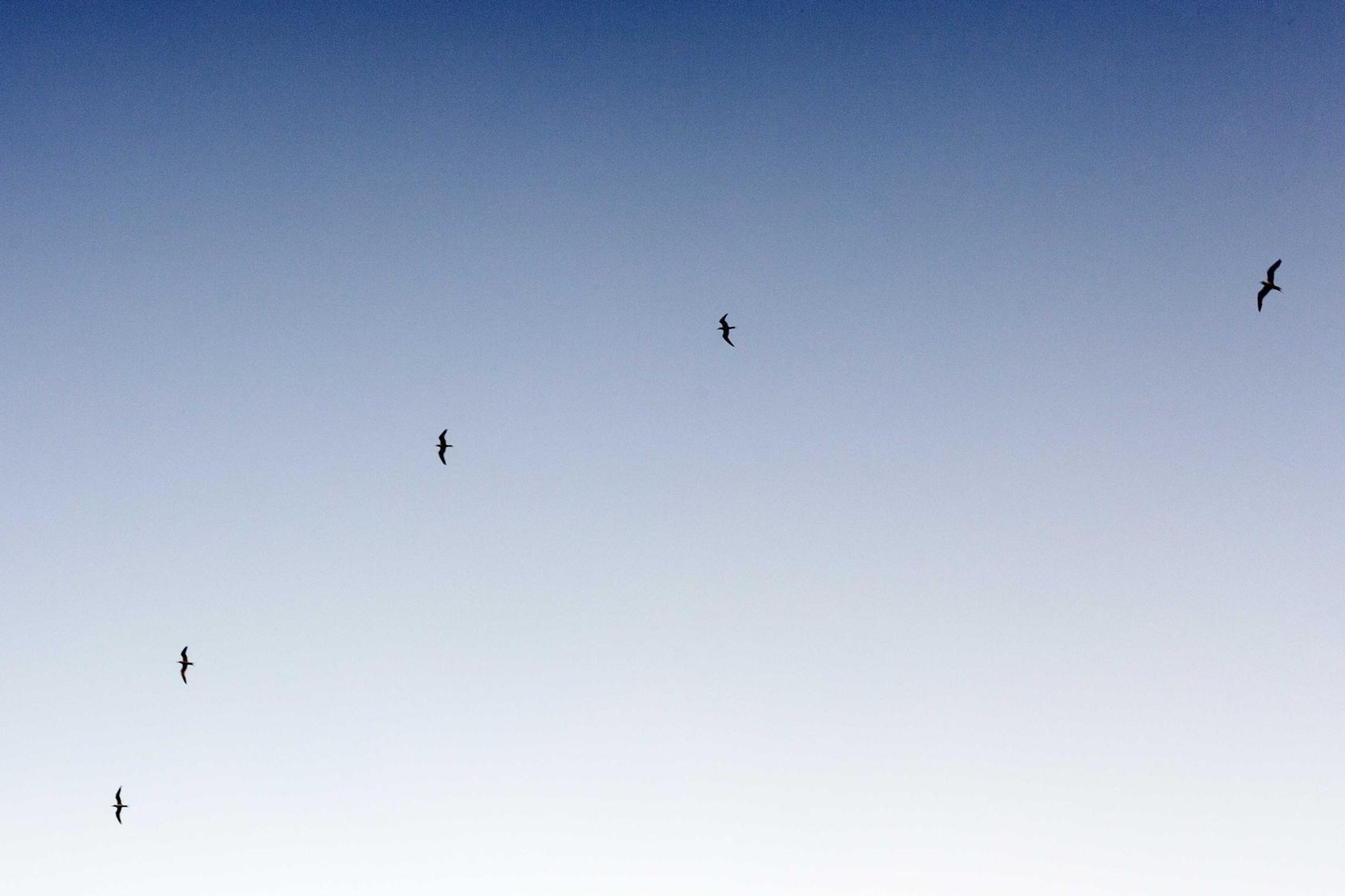 City council chamber during a public hearing
