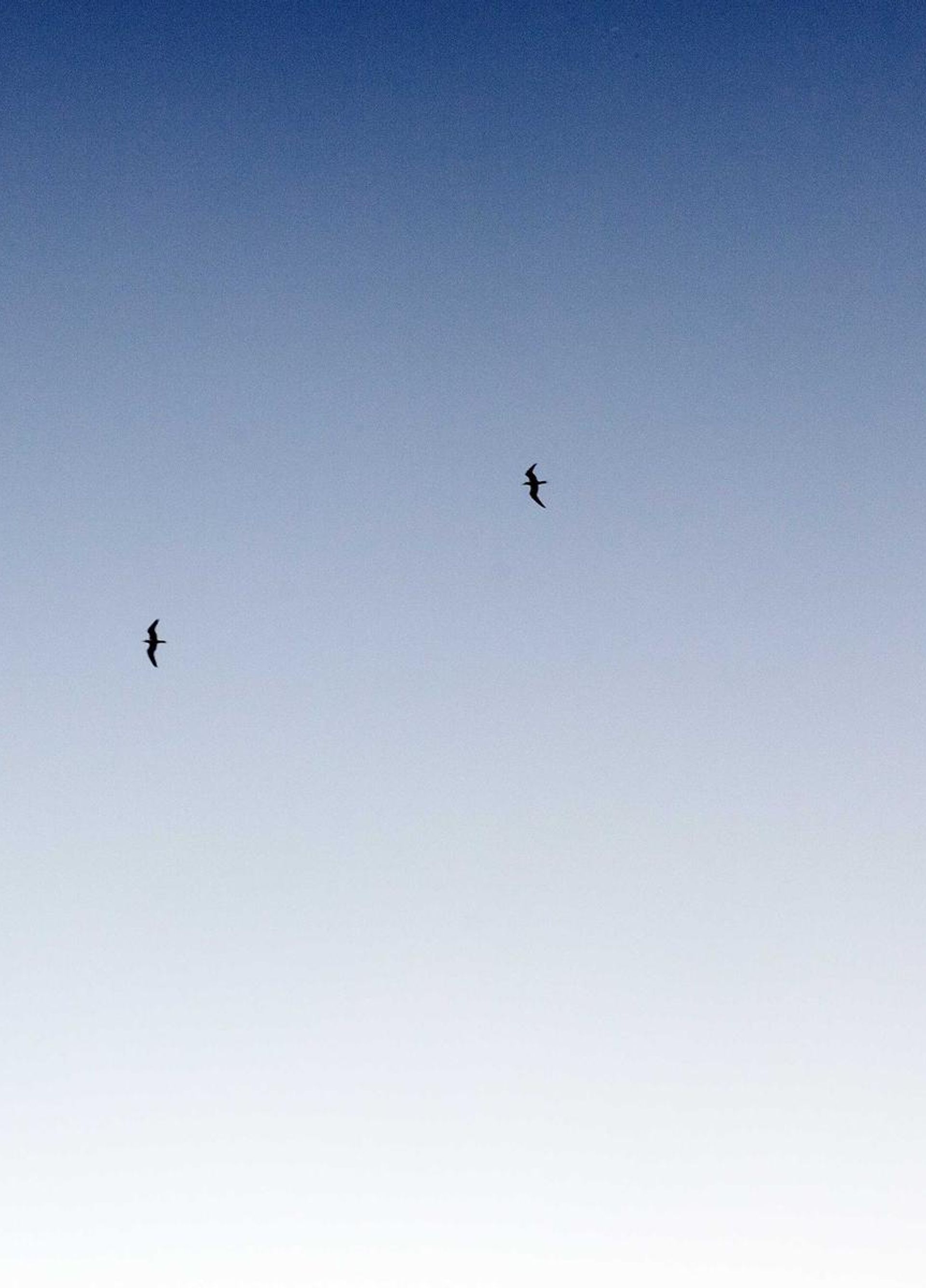 City council chamber during a public hearing