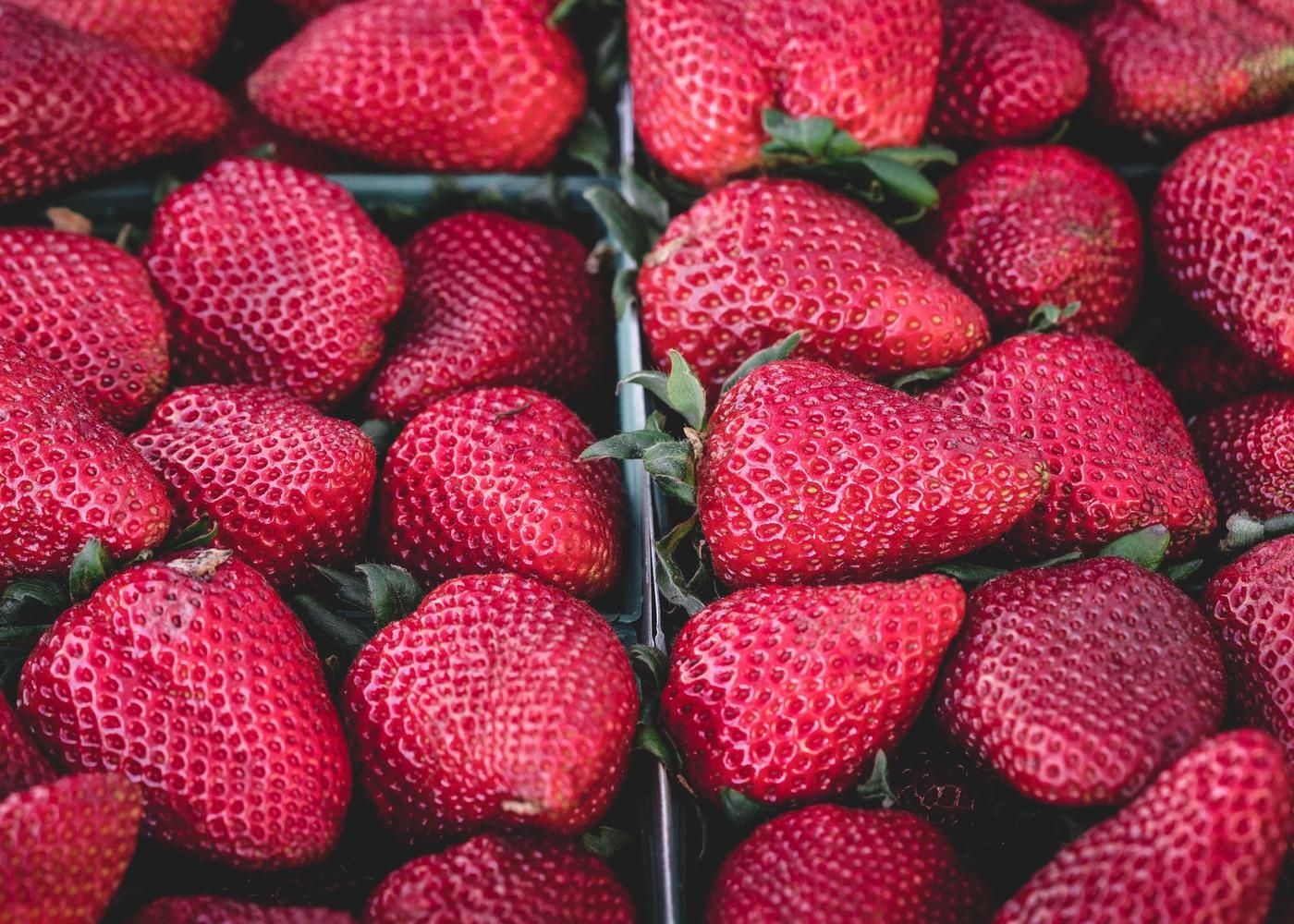 Truck convoy leaving a port after dusk