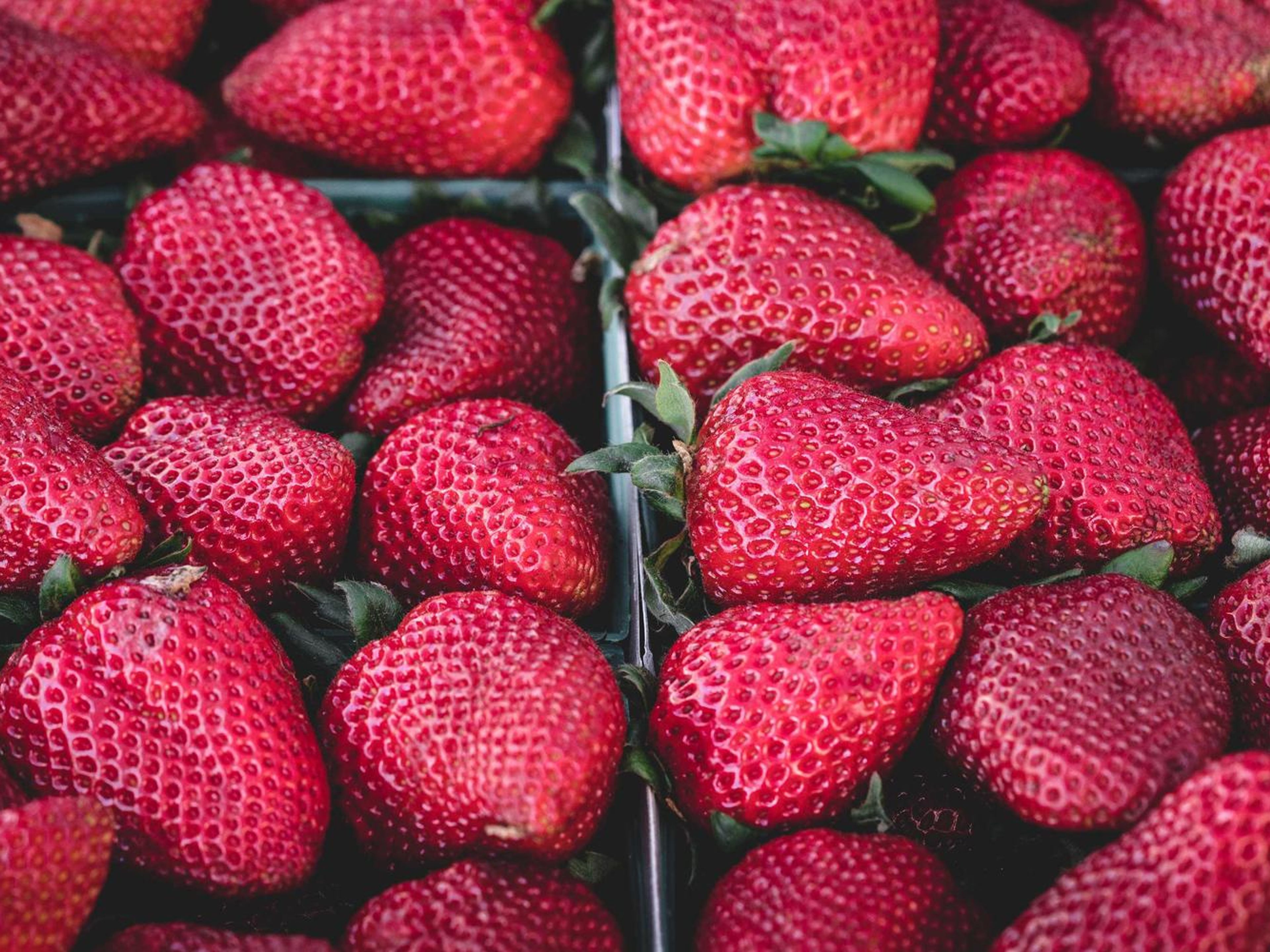 Truck convoy leaving a port after dusk