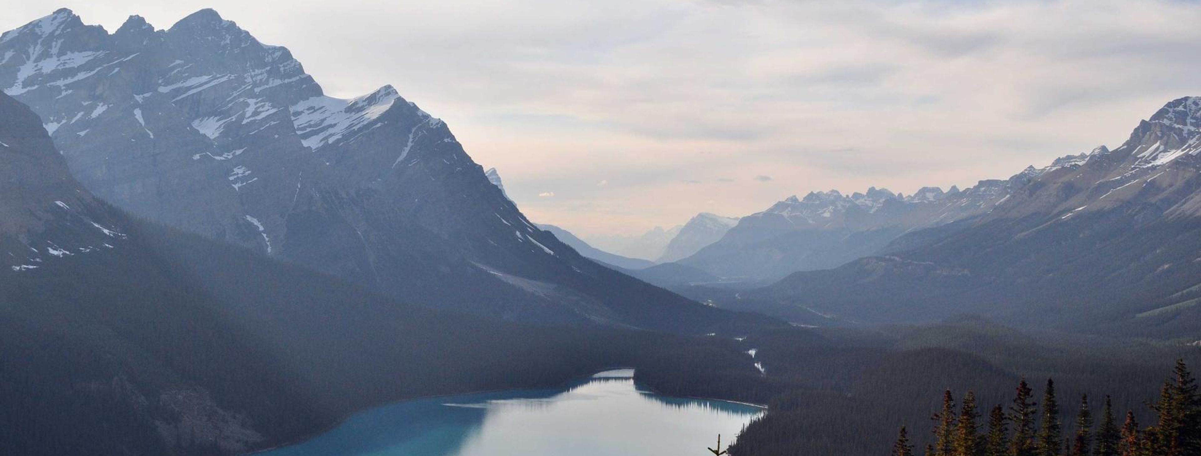 Nurse visiting a patient at home with monitoring equipment