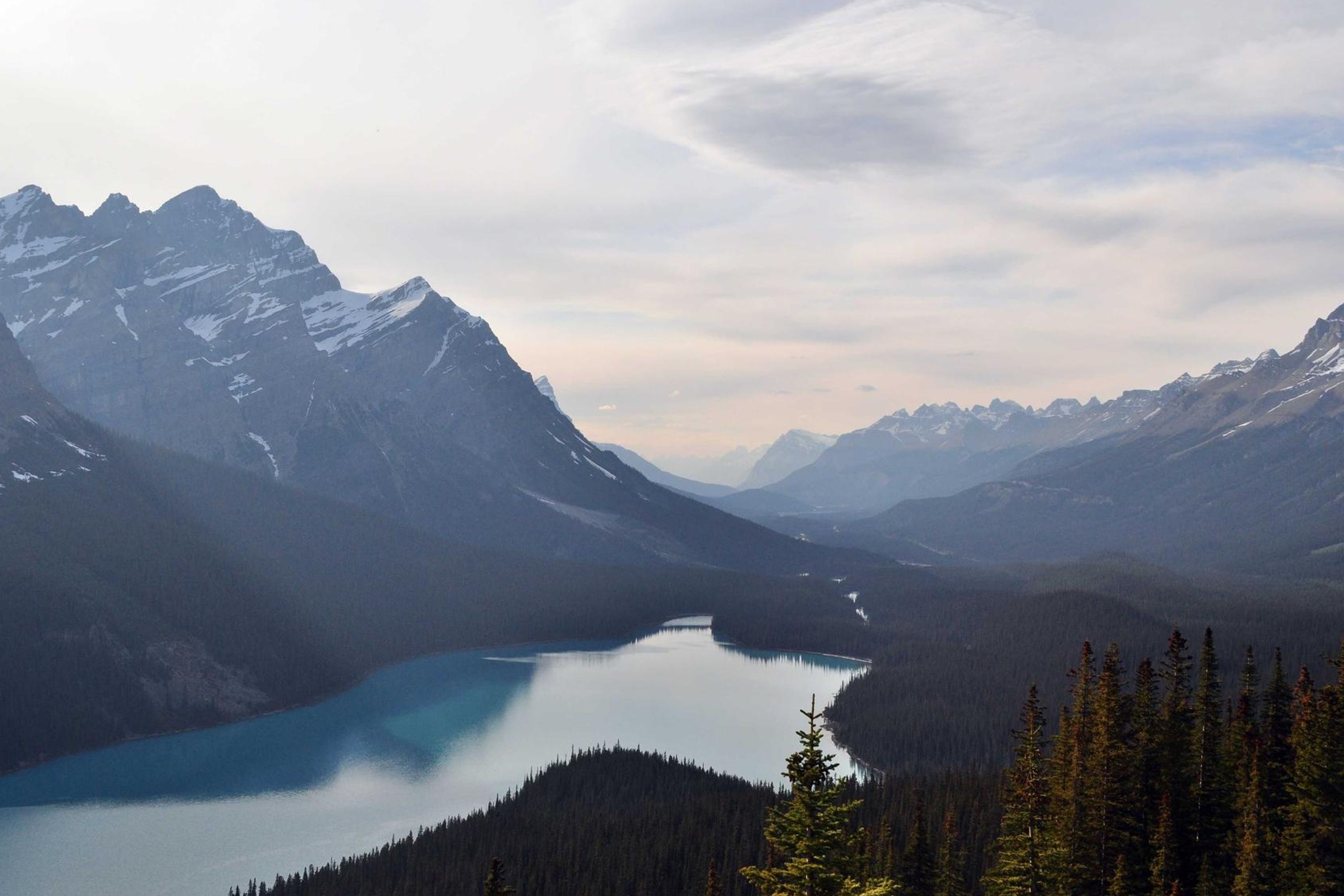 Nurse visiting a patient at home with monitoring equipment