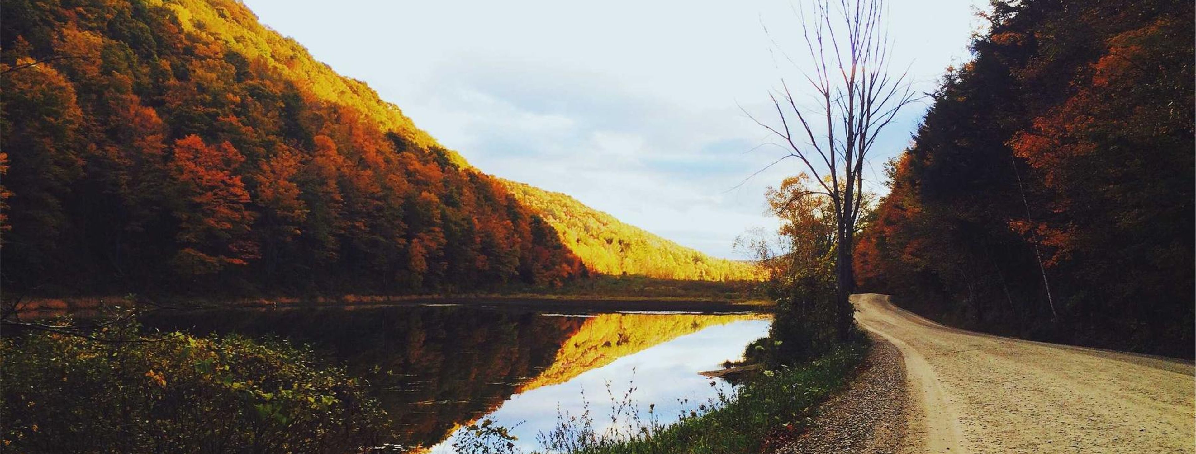 Museum gallery illuminated for evening event