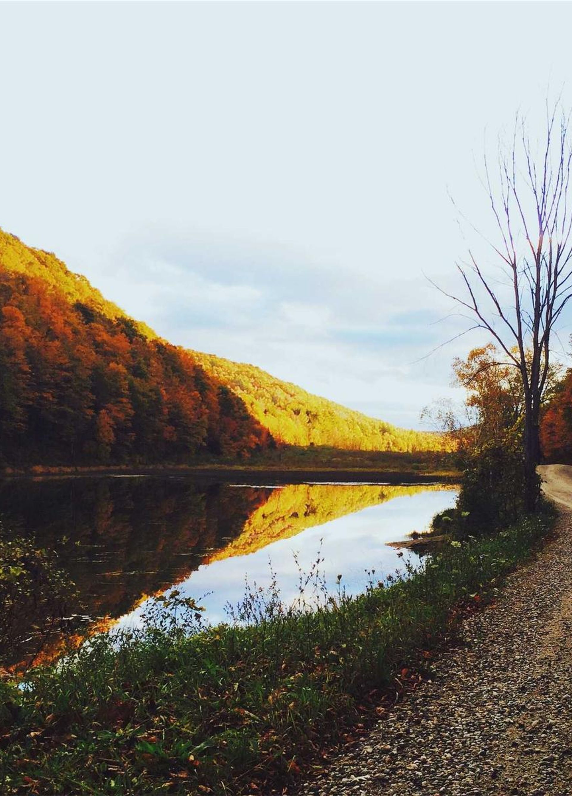 Museum gallery illuminated for evening event
