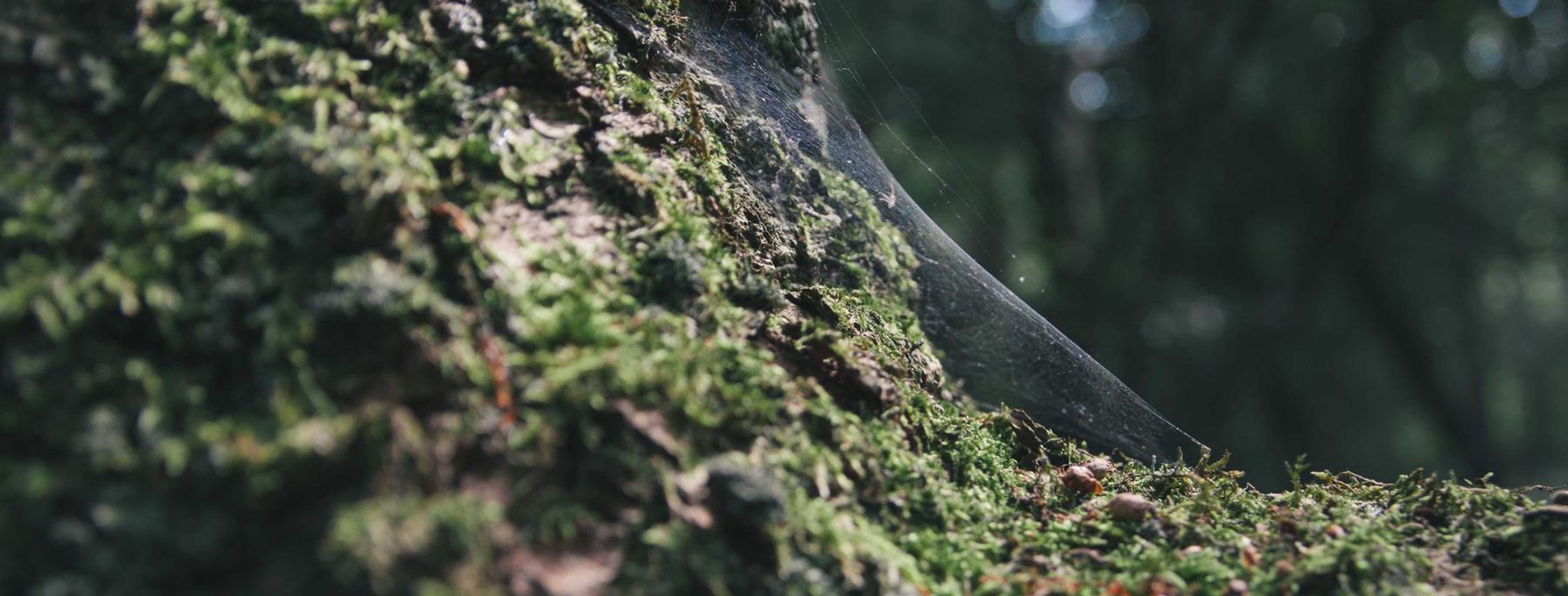 International airport passport control area
