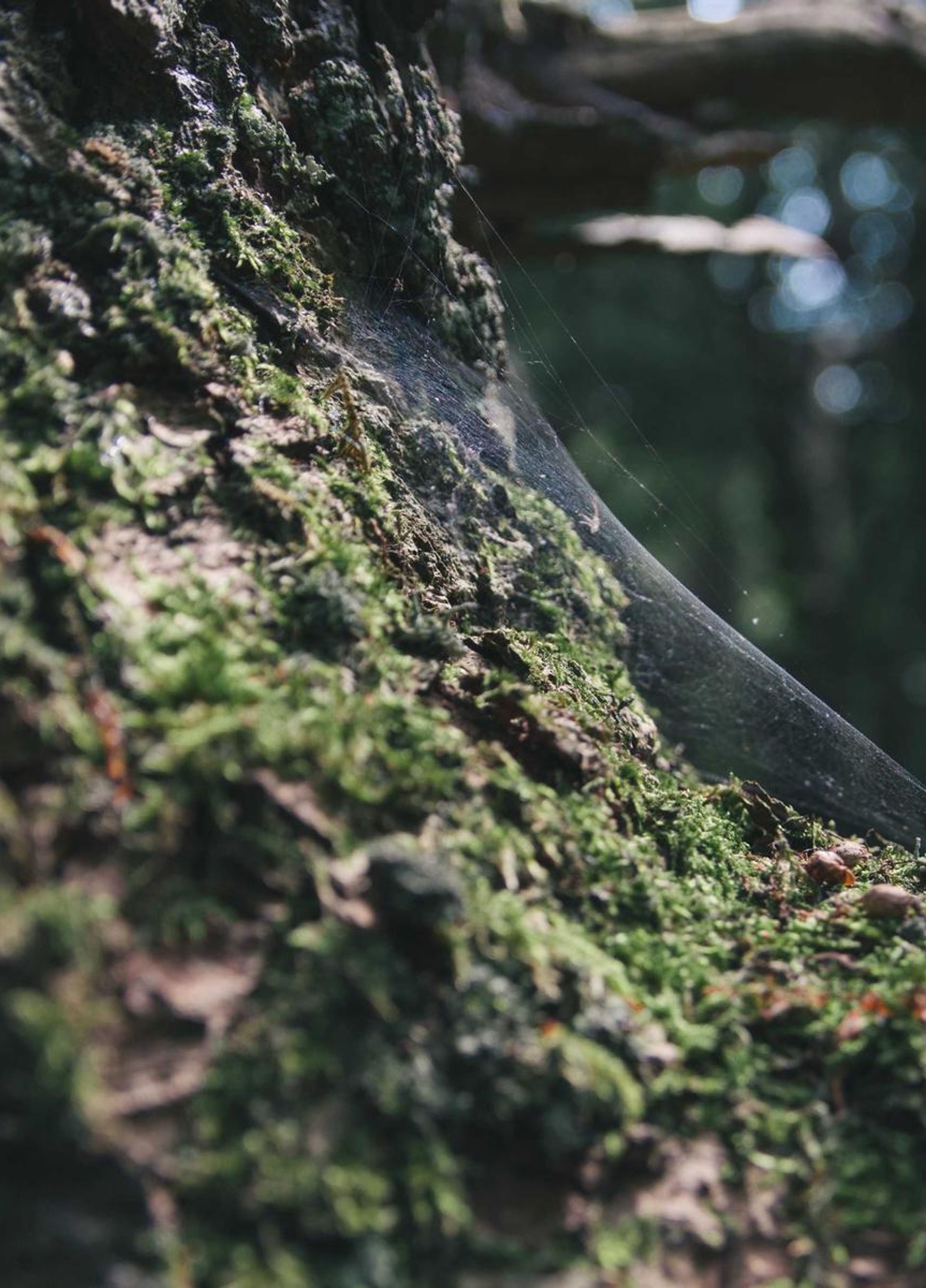International airport passport control area