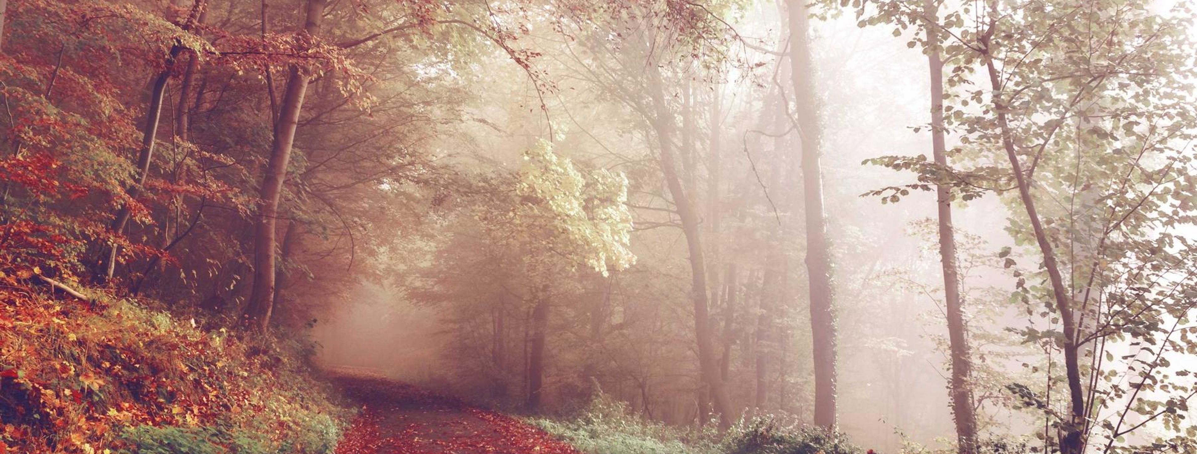 Entrance road to a national park at sunrise