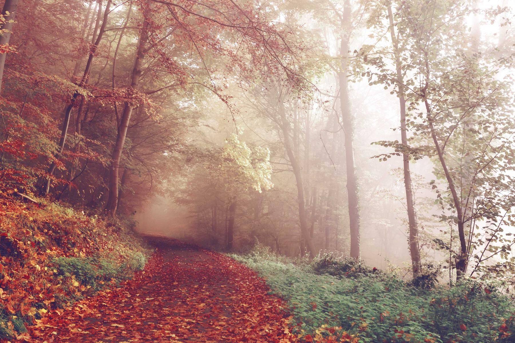 Entrance road to a national park at sunrise