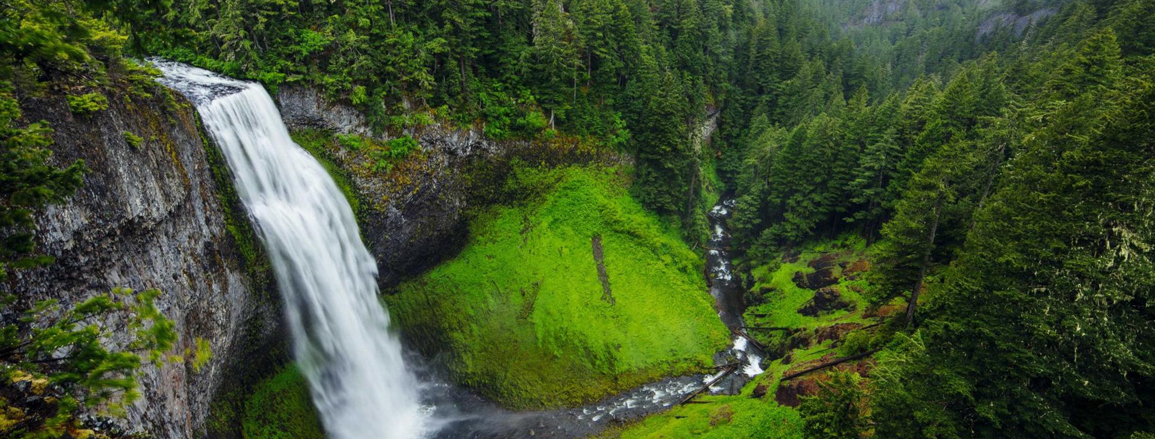 School campus with drought-tolerant landscaping
