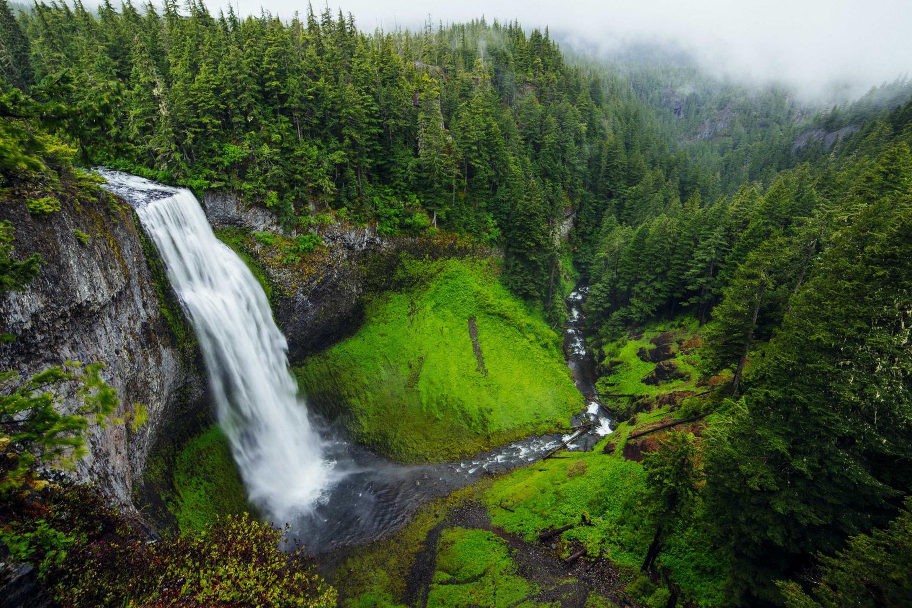 School campus with drought-tolerant landscaping
