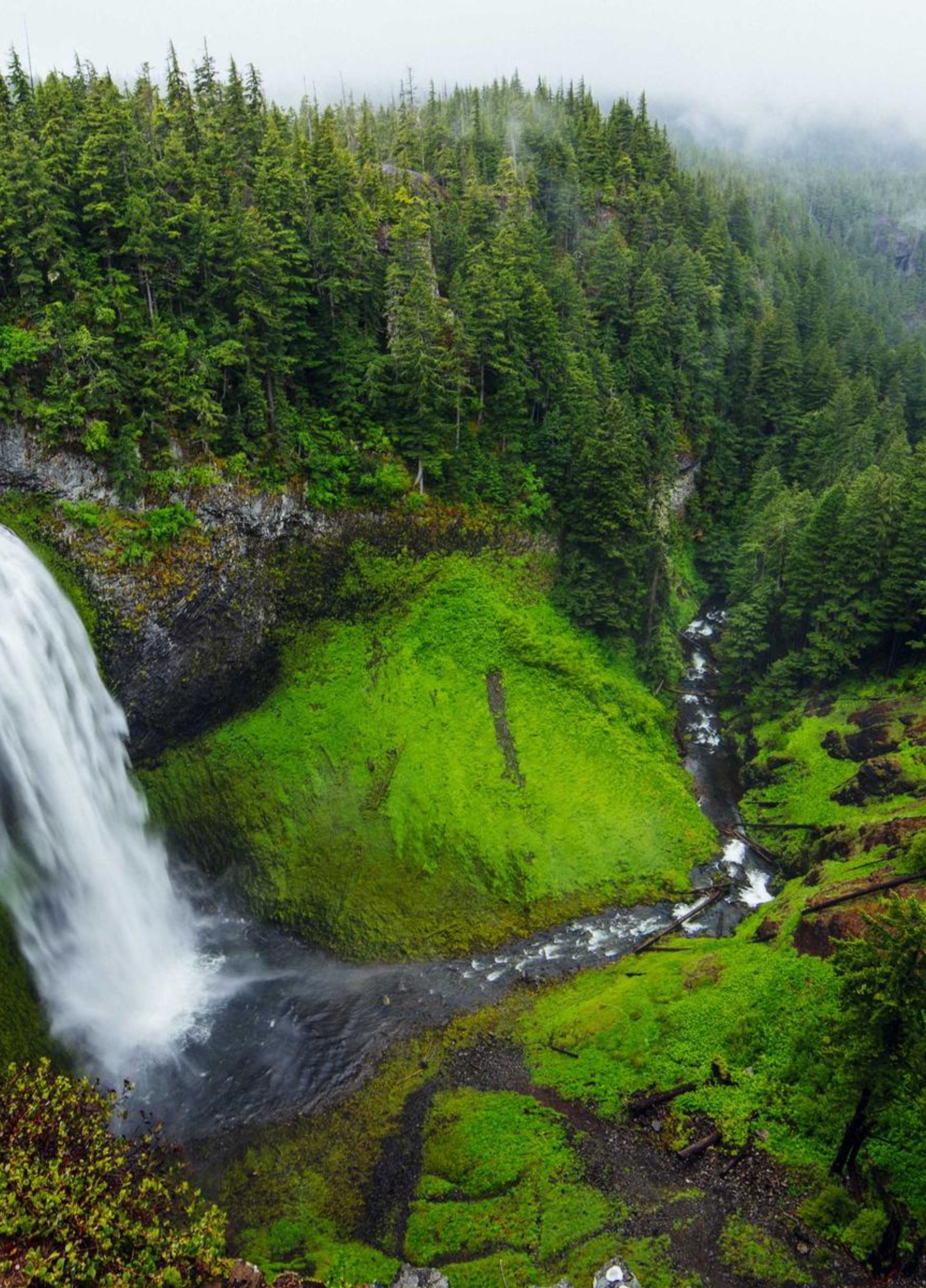 School campus with drought-tolerant landscaping