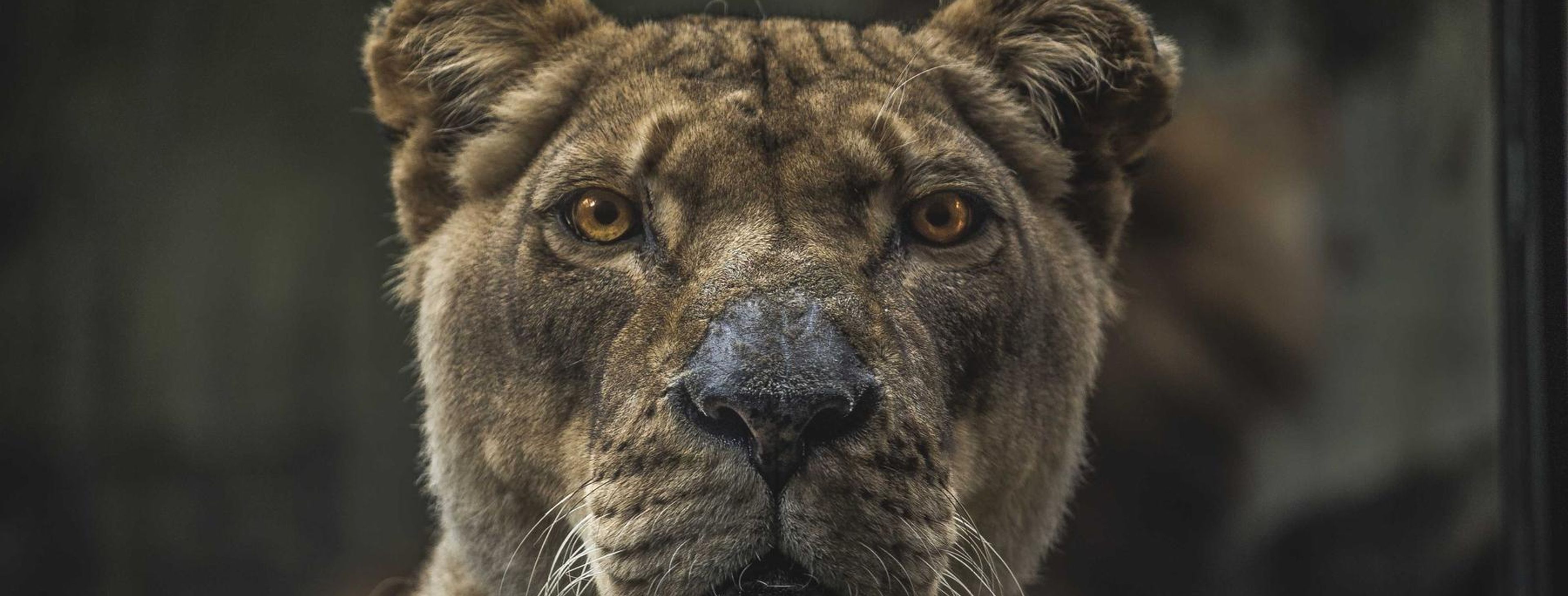 Shipping containers and cranes at a cargo terminal