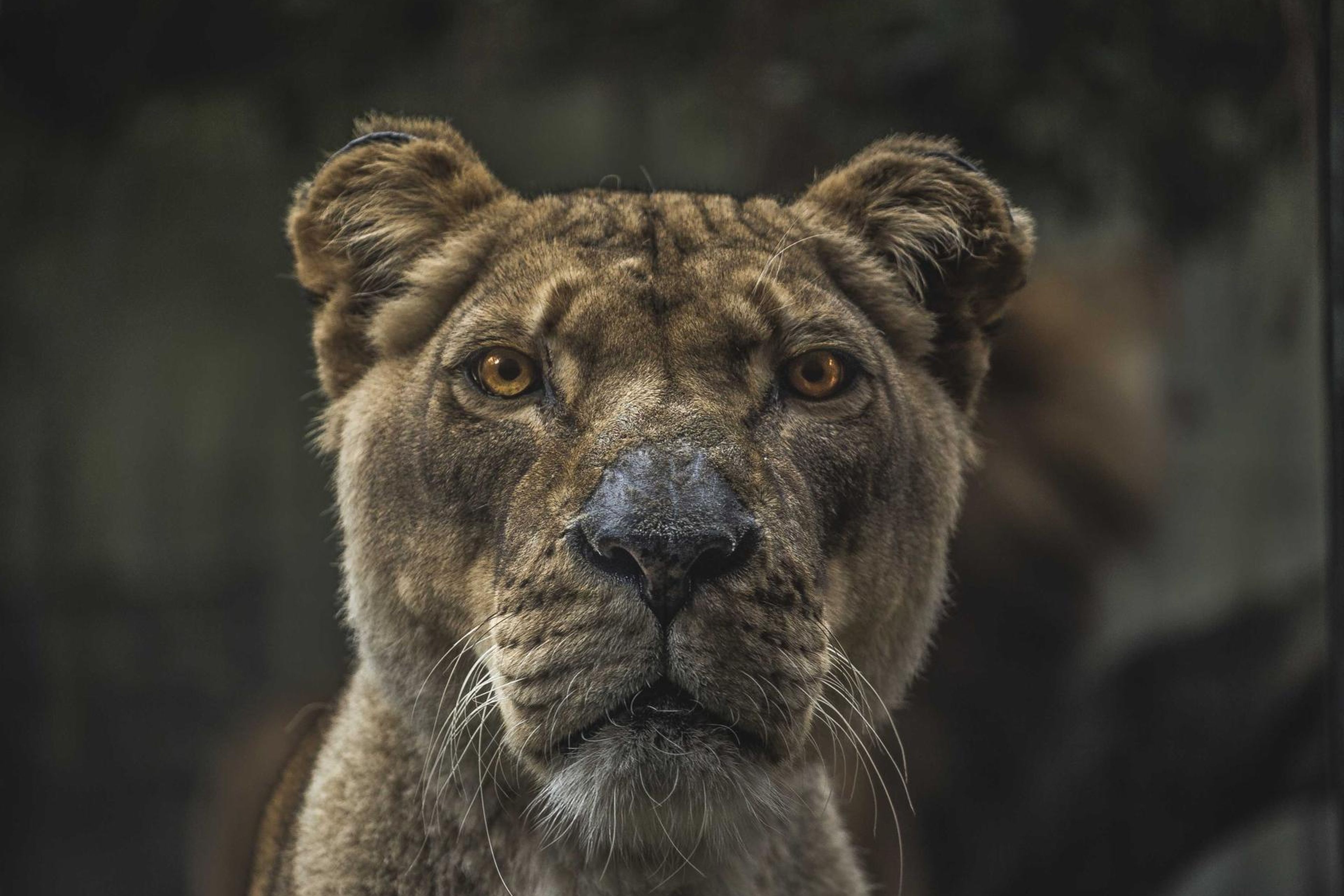 Shipping containers and cranes at a cargo terminal