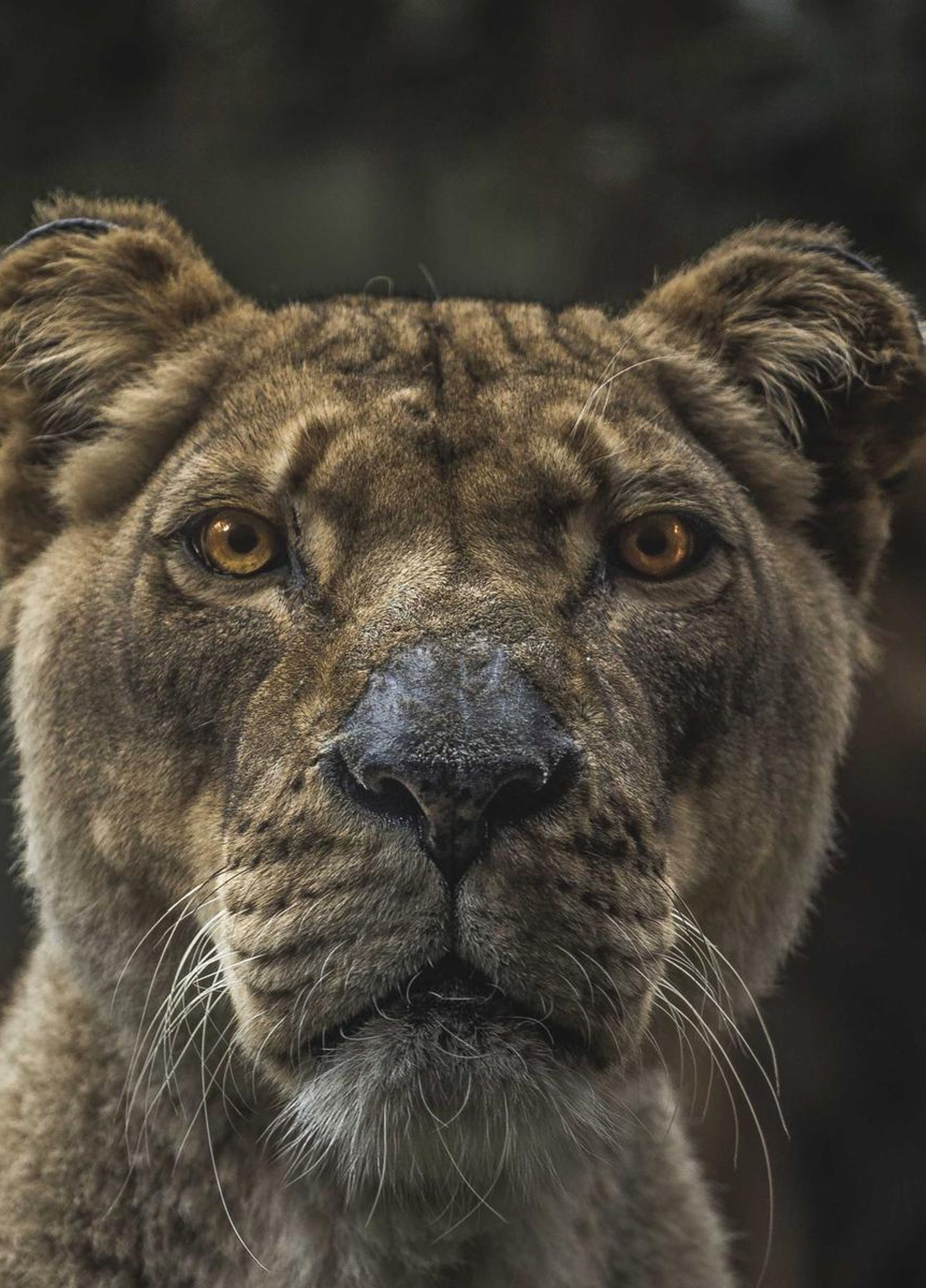 Shipping containers and cranes at a cargo terminal