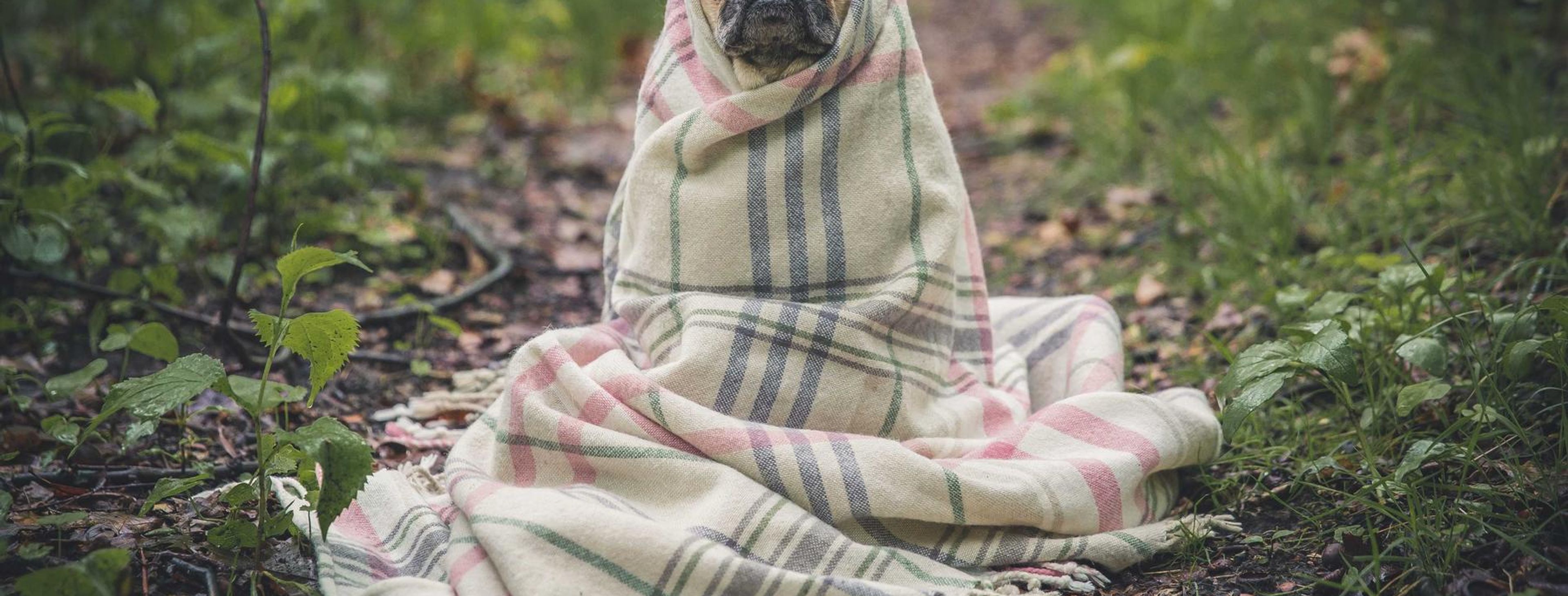 Busy clinic reception area with patients waiting