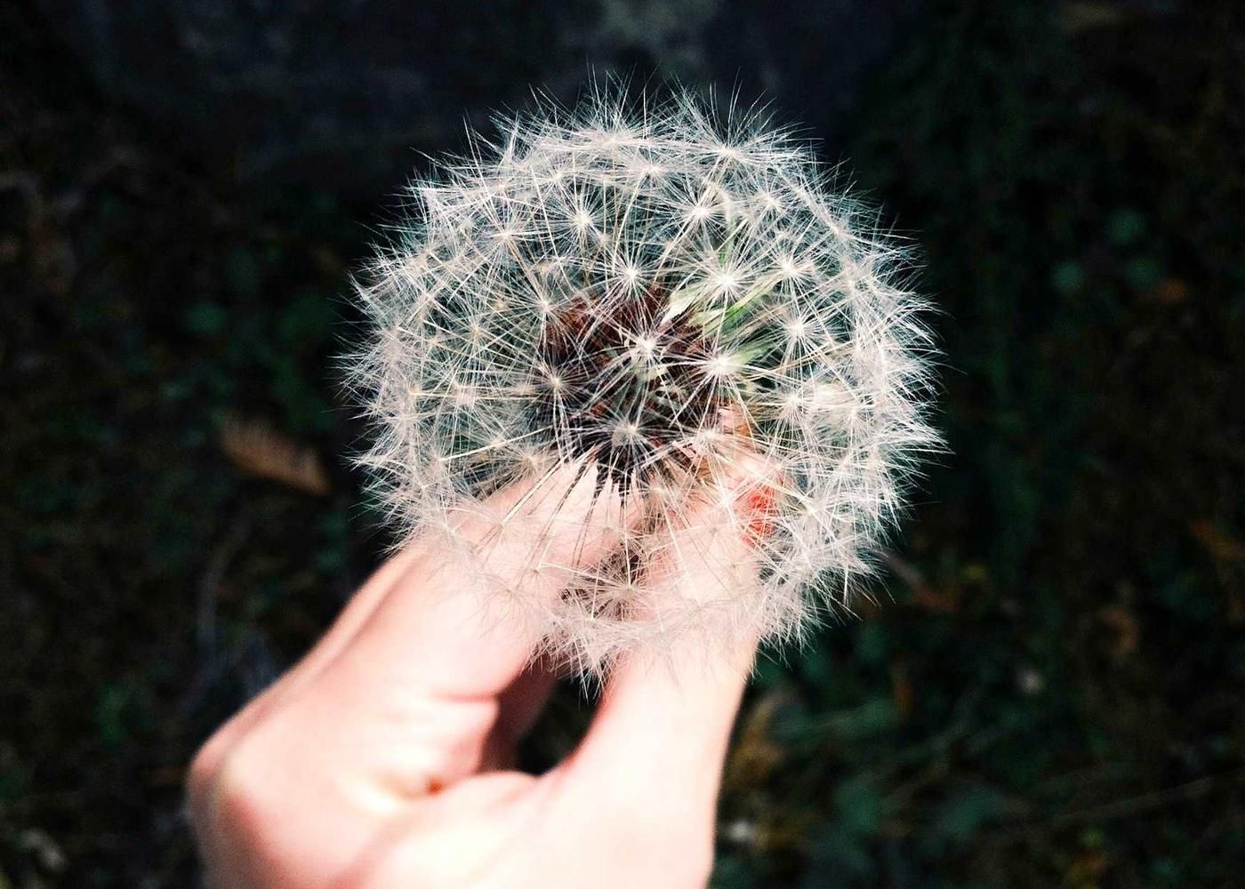 Public health analyst reviewing a service area map