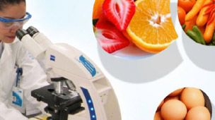 Curso de microbiología básica para alimentos