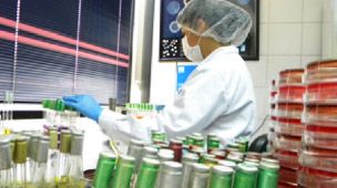 Curso de monitoreo microbiológico del ambiente en empresas procesadoras de alimentos