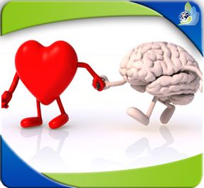 Cursos de inteligencia emocional en el aula de aprendizaje