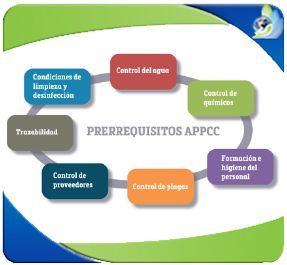 Curso de programa (ISO/TS 22002-1,2,3,4) y adicionales de FSSC